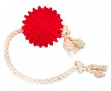 Игрушка Зооник,Мяч массажный на веревке для собак, на веревке, 6 см