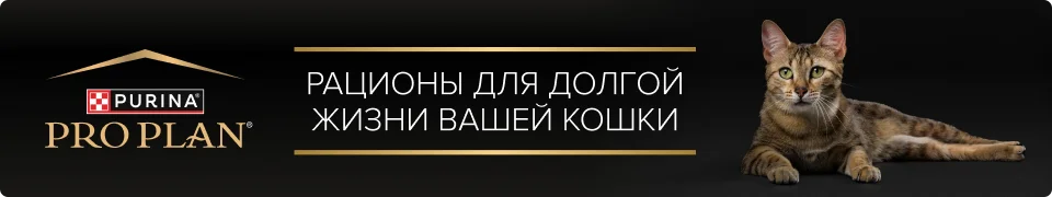 PRO PLAN® Cat — рационы для долгой жизни вашей кошки