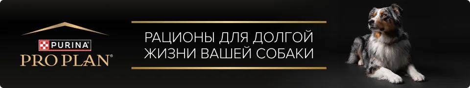 PRO PLAN® Dog — рационы для долгой жизни вашей собаки