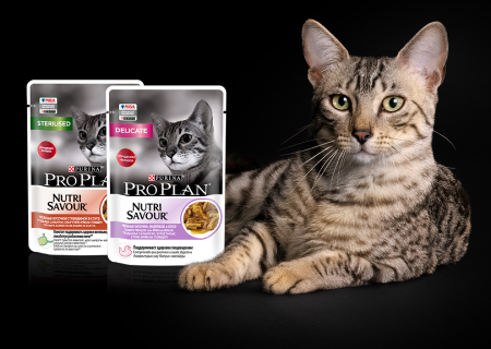 Purina Pro Plan Купить Москва