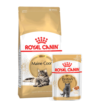 Royal Canin - купить товары для животных с доставкой по Минску и ...