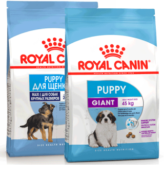 Royal Canin - купить товары для животных с доставкой по Минску и ...