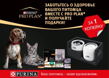 Покупайте корм Pro Plan® в Zoobazar и получайте подарки за 1 копейку!