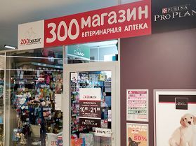 Минск, Каменногорская улица, 8 (Санта)