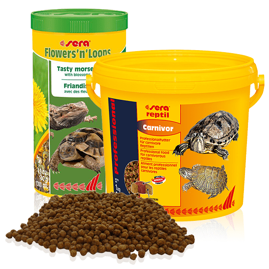 23 кг) 1 шт. корм для черепах сухопутных jbl. корм для собак вилли хвост консервы - мясное ассорти (1. 23 кг) 12 шт. хвостатый ру интернет магазин.