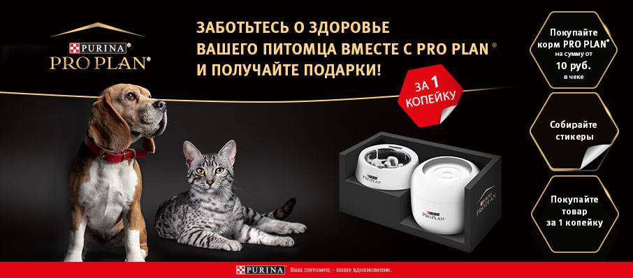 Покупайте корм Pro Plan® в Zoobazar и получайте подарки за 1 копейку!