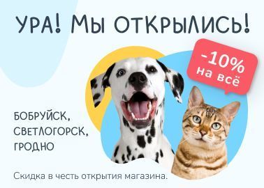 В январе нас стало больше!