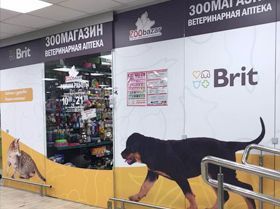 Минск, Старовиленский тракт, 28к1 (Евроопт)