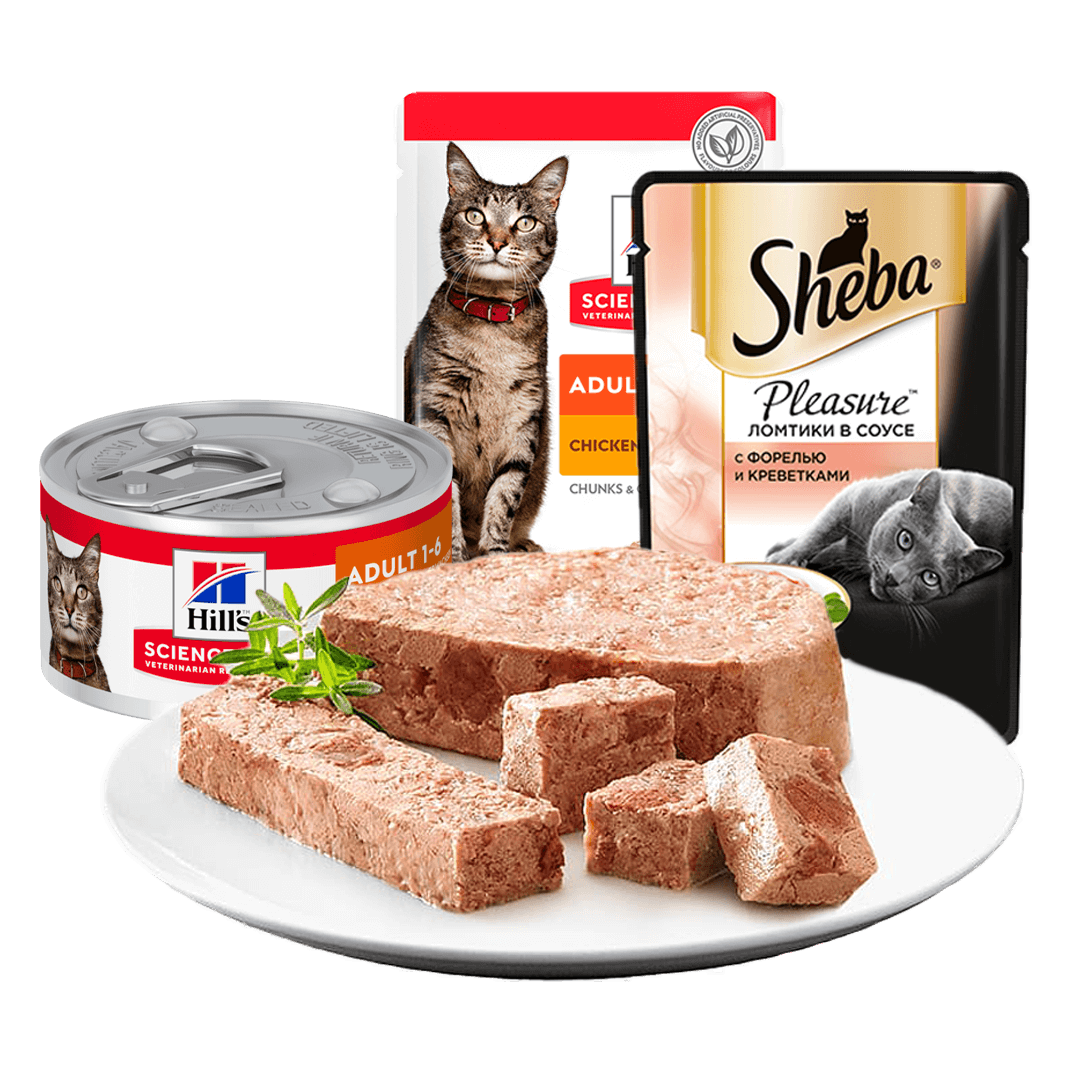 Товары для кошек купить с доставкой по Минску и Беларуси | Zoobazar