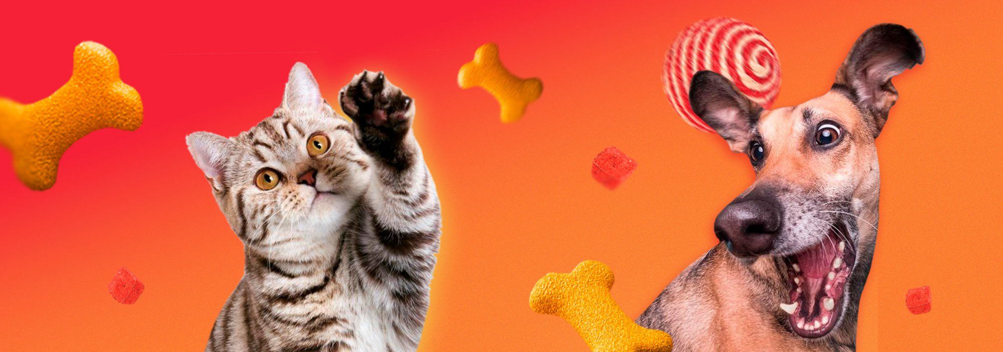 -25си_сайт (2).jpg