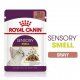 Пауч Royal Canin для взрослых кошек, кусочки в соусе, Sensory Smell, 85 г