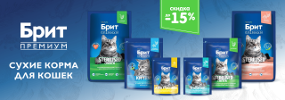 Брит ПРЕМИУМ!