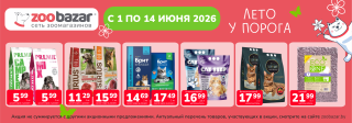 Акция месяца!
