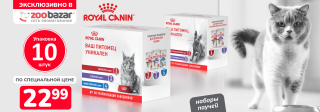 Royal Canin