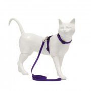 Комплект Пижон, для кошек, фиолетовый, шлея 21-35 см, поводок 120 см