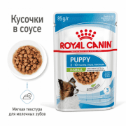 Кусочки в соусе Royal Canin X-Small Puppy для щенков миниатюрных пород, 85 г