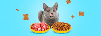 Как кошку перевести на сухой корм с натурального питания?