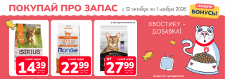 Акция месяца!