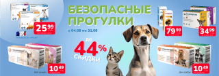 Безопасные прогулки!