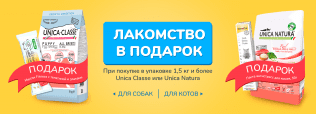 Подарок за покупку UNICA!