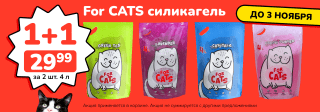 For Cats до 02.11.24