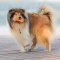 4ba5be89-dffa-499d-a744-74cb03b732f6.jpg