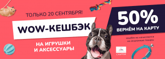 WOW КЕШБЭК на все игрушки и аксессуары только 20 сентября 2023!