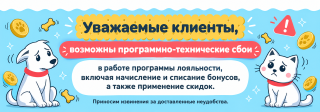 Временные ограничения в работе программы лояльности