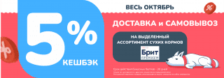 5% кешбэк на сухой Brit Premium!