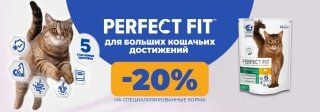 Брендирование Perfect Fit