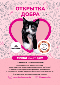 Открытка добра Зоошанс