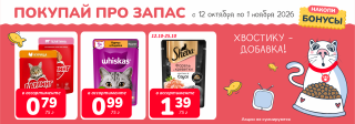 Акция месяца!