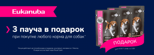 Подарок за покупку с Eukanuba