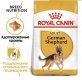 Корм сухой Royal Canin German Shepherd для собак породы немецкая овчарка, 3 кг