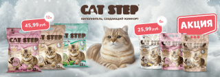Cat Step