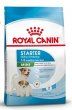Royal Canin Mini Starter Корм сухой полнорационный для собак мелких пород (до 10 кг) в конце беременности и в период лактации, а также для щенков в период отъема от матери и до 2-х месячного возраста, 1 кг