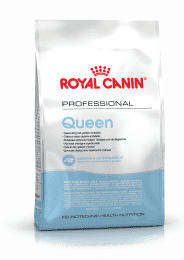 Корм Royal Canin Queen корм для беременных и лактированных кошек, 4 кг