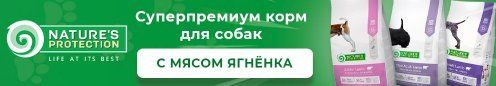 Брендирование Натур протекшн Каталог