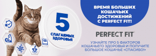 Линейка Perfect Fit расширяется: Комплексная забота о здоровье вашего питомца!