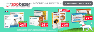 Безопасные прогулки!