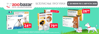 Безопасные прогулки!