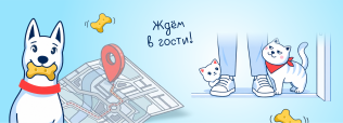 Новые магазины сентября!
