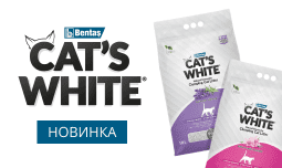 НОВИНКА в ZOOBAZAR: наполнитель CAT’S WHITE!