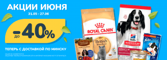 Скидки в июне!