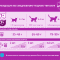 961fa5b7-3873-49f3-8032-ecd0de8ff63f.png