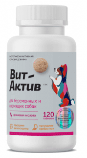 Витамины Вит-Актив С-БК для беременных и кормящих собак, 120таб