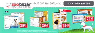 Безопасные прогулки!