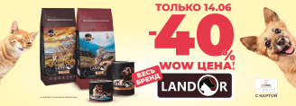 Скидка 40% на весь бренд Landor только 14 июня 2023!