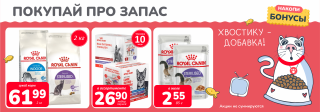 Акция месяца!