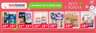 Акция месяца!